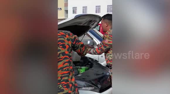 Massive python caught in vehicle's engine in school car park in ...