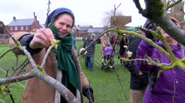 Wassailing in Bridport community orchard, Dorset, UK