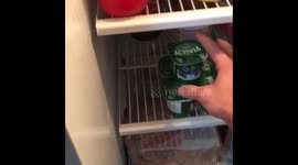 We Always Give In To Our Dogs