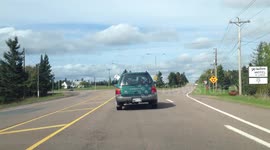 Curious pup can't decide which car window to look out of