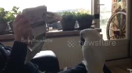 Reading the Newspaper????