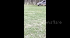 Wildlife rescuer 'terrified' after she claims deer hunters sped towards her