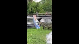 'Men are too scared to date me because of my job,' reveals glamorous CROCODILE handler Part 1/4