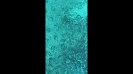 'Men are too scared to date me because of my job,' reveals glamorous CROCODILE handler Part 2/4