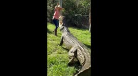 'Men are too scared to date me because of my job,' reveals glamorous CROCODILE handler Part 4/4