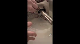 Family finds mouse living inside their curtain