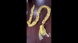 Mom in Canada goes viral with giant DIY Rapunzel braid