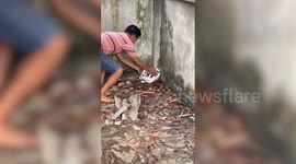 Kind residents climb inside abandoned house to save kitten that fell from roof