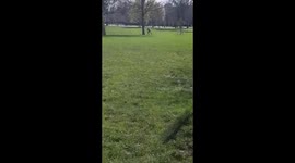 Strange dancing perhaps, I'm not too sur3, what do you think?