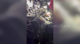 Firefighters Save Terrified Pup Trapped Inside A Couple's Car Engine In Lodi, CA, USA