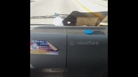 Traveling on the east coast in Guyana beautiful country land of many waters and rich diversity