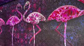 Mesmerising digital artwork on show in central London