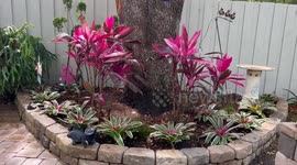 Backyard makeover does wonders for my cousin's property in Winter Springs, Florida