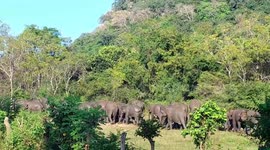 OMG they have never seen like this sighting in their village