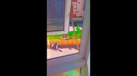 A group of female students carry out a cleaning campaign in their university to preserve their university environment