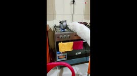 Cat plays with fire (literally) to see how far her curiosity can take her