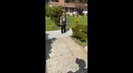 Cute moment alert: cuddling ladybugs in San Jose, CA