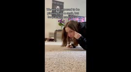 Watch as A sneaky parrot pranks his owner In Atlanta, GA!