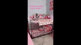 ‘Relaxing in a DOG CAGE daily is my safe space – people assume it’s sexual but it’s not,’ says woman, 21 Part 4/4