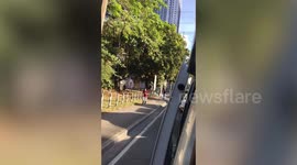 Passersby perform cheerleading stunt under tree to harvest mangoes