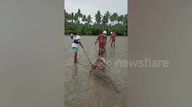 Firemen drag huge crocodile across beach in Malaysia