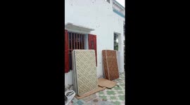 Thousands of bees fly into the woman's house to make a nest in the closet