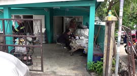 Adorable pets take over the workplace! Watch these furry companions join their owners at work