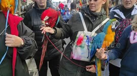 Protest Spain’s new animal welfare law last February