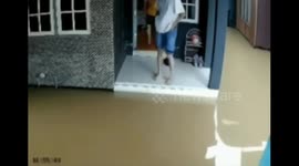 Unexpected fall: hilarious footage of friends exiting flooded home in Amuntai, South Kalimantan