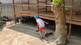 Farm boy chasing ducks in poultry farm