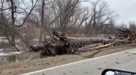 Backhoe operator tries to clear massive log jam blocking bridge