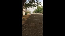 Tranquility and synergy as cars move by during elections in Benue State