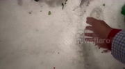 temp