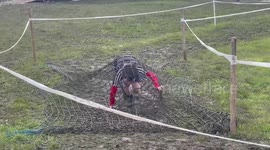 Tough Mudder’s Little Mudders run held on second day in Finsbury Park, London