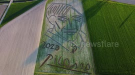 Amazing portrait of Picasso carved on field in Italy