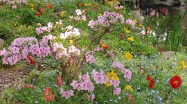 Claude Monet Garden In Shanghai, China