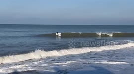 Surfing the waves in sunny Aberystwyth, West Wales, UK