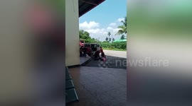 Seven injured after suspected bomb explodes on bus in the Philippines