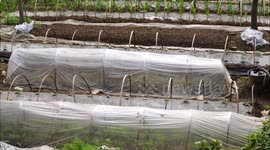 China Arable Land In Yichang, Hubei, China