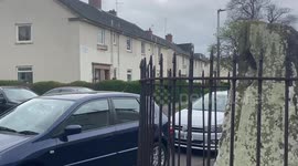 World's oldest stone monument predating Stonehenge and Pyramids sits on council estate in Edinburgh