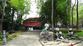 Zoo-goers shocked by giant panda's sudden death in Thailand