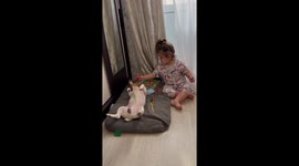 Mom's shocking discovery: daughter's Jack Russell Terrier gets a colorful makeover with markers