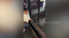 Hostile monkey grabs toddler's shirt at zoo in Bangkok