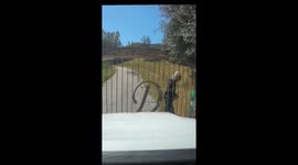 My driveway gate got stuck so I got out to find out why and was shocked to see a four foot long rattlesnake caught up in the gate mechanism, still alive!