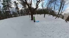 Boy stumbles on tree stump while dragging sledge through snowy woods