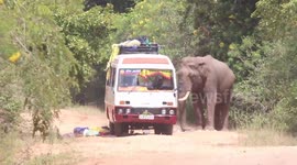 A ferocious elephant attacks and crushes a bus carrying pilgrims. There was 30 peoples inside the bus