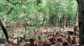 When I went to see Lord Venkateshwara, a deer appeared.