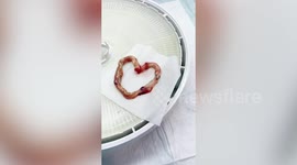 Woman turns umbilical cords into permanent decorative pieces