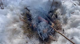 Tasty Moose garlic sausage roasting over a camp fire in the Ontario Canada wilderness