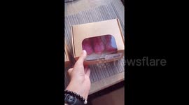 A sweet and cute surprise for a boyfriend's birthday